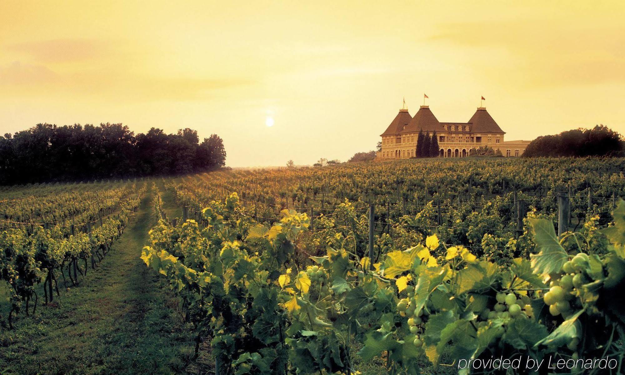 Chateau Elan Winery Resort 4*
